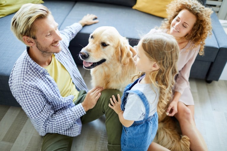 decoding dog insurance