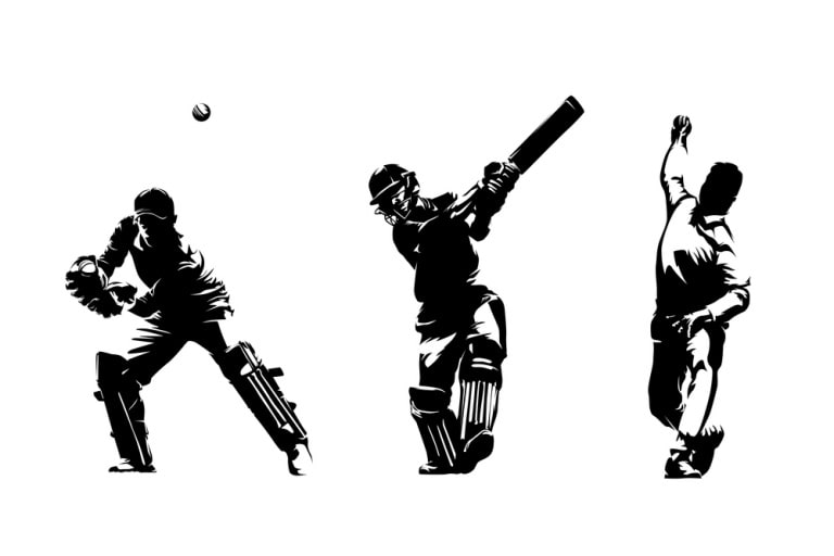 a game changer in cricket