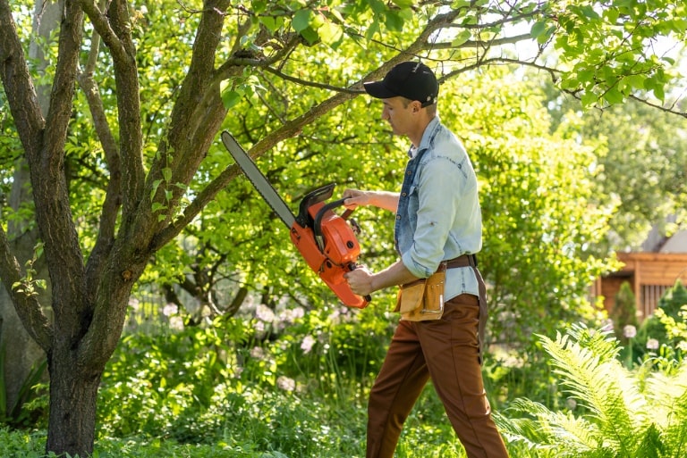 5 bite sized chainsaw tips for beginners