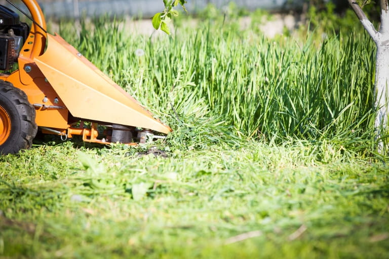 Top Tree Clearing Services for Residential and Commercial Land